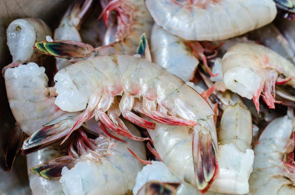 GOOD AND GOOD FOR YOU HEALTHY RECIPE FOR QUICK AND EASY GARLIC SHRIMP ON VIRGINIAWILLIS.COM
